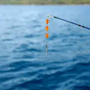 5 Pcs Buoy Mixed Color Fly Fishing Float Streams Drift Hook Rod