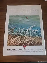 Tennessee Gas Transmission Company Print Ad 1962