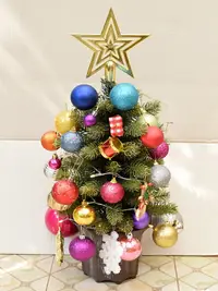 在飛比找樂天市場購物網優惠-家用盆栽小圣誕樹桌面擺件PE諾貝松加密圣誕節裝飾christ