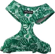 Dan & Sam Lahana Dog Harness - XSmall, Comfortable & Adjustable Pet Vest, Durable, Lightweight, Easy-to-Use, Ideal for Small Breeds, Secure Fit for Safe Walks