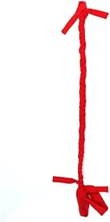 EVURU Horse Ponytail, 3 Tube Horse Tail Bag for Horses, Durable Horse Braid-in Tail Bag Braid-in Tail Bag Black Tail Protector for Bobtail Horses Donkeys Cattle Durable,Red