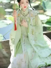 Chinese Hanfu Ming Dynasty Cloud Shoulder Stand Collar Long Shirt Pleated Dress