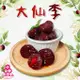 【三陽食品】大仙李 (純素蜜餞) 320g 李鹹 李仔鹹 月餅餡 古早味 蝦皮代開發票