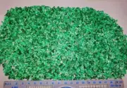 555-Ct Good Clean Emerald Crystal Type Rough Lot From Panshir Mine Afghanistan