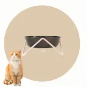 Bendo Cat Bowl "Meow" | Black on Blush Frame