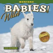 Farcountry Press, Montana Wild Babies 2025 Mini Wall Calendar