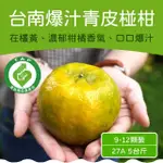 【農頭家】台南南寮青皮椪柑27A5斤裝X1盒(單箱9-12顆裝/香氣濃郁/顆顆爆汁)