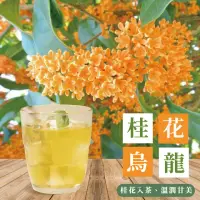 在飛比找momo購物網優惠-【上野物產批發館】桂花烏龍 茶包 20入(原葉茶包 冷熱泡皆