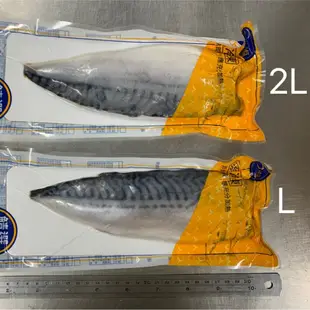 挪威鯖魚片 箱購 (4Kg)【免運】冷凍海鮮