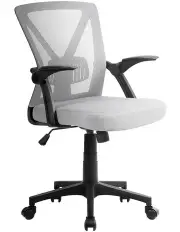 [Artiss] Mesh Office Chair Mid in Back Grey