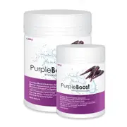 LifeWise - Purple Boost - Immune Stimulant - 180g
