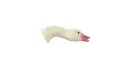 Snow Goose Feeder Heads. 12 pack Snow Goose Sock Heads only. Windsock Heads.