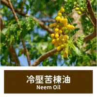 在飛比找蝦皮購物優惠-【馥靖精油】冷壓苦楝油 Neem Oil