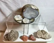 Lot of Agate and Fossils Natural Agate Geode Quartz Crystal Mineral Coral Reef
