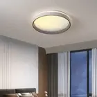 Dimmable LED Clear Sky Light Full Spectrum Roof Window Panel Ceiling Lamp PMMA