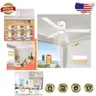 Sleek 52-Inch Indoor/Outdoor Ceiling Fan with Lights - Remote & Memory Function