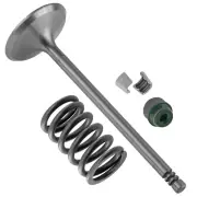 Intake Valve Kit for Can-Am CanAm Commander 1000 2011 2012 2013 2014 2015
