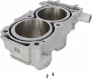 Moose Racing Engine Cylinder for 2011-2013 Polaris Ranger RZR XP 900 UTV