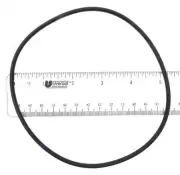 O-Ring, Volute