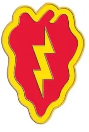 Pack of 12 Taro Leaf W/ Lightening Bolt Bike Motorcycle Hat Cap Lapel Pin HP1941