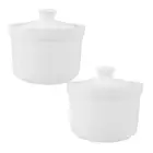 2 Pcs Stew Pot Dessert Cups with Lids Serving Dish Ceramic Bowl Soup