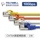 【祥昌電子】POLYWELL 寶利威爾 CAT6A S/FTP 高速網路線 RJ-45 網路線 黑色 2M