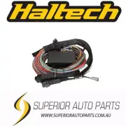 Haltech Elite 2500 & 2500 T Premium Universal Wire-in Harness 3m /9.8' HT-141306