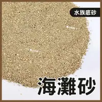 在飛比找春日水族商城優惠-海灘砂 0號 1.5kg 3kg 海灘沙 珊瑚砂 菲律賓砂 