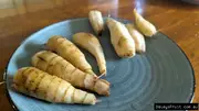 Buy West Indian Arrowroot plants - Maranta arundinacea