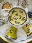 NIB Porcelain Expresso Butterfly Cup and Saucer *Set of 6* Coffee tea Set