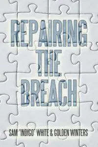 在飛比找博客來優惠-Repairing the Breach