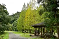 在飛比找KKday優惠-宜蘭員山|福山植物園生態體驗一日遊|北后寺 & 金車噶瑪蘭威