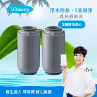 在飛比找神腦生活優惠-Vitaway維他惠森林SPA活水沐浴過濾器專用濾心2入-台