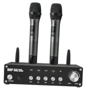 UHF Wireless Microphone System, Cordless Karaoke Microphone System with 2