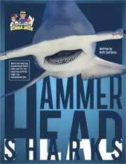 Hammerhead Sharks (Paperback or Softback)