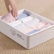 Dustproof Panties Socks Organizer 10/15 Grids Wardrobe Storage Box for Home