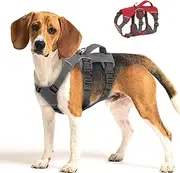 Beirui Escape Proof Dog Harness for Medium Dogs - Reflective, No Pull, Padded Handle, Waterproof for Daily Walking Training (Gray, Chest 13-27'')