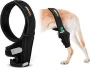 Lyderpet Dog Knee Brace for Torn ACL Hind Leg, Rear Leg Braces for Dogs Luxating Patella, Metal Spring Strong Support and Flexible Joint Care, Easy to Put On and Off Dog Braces for Back Leg Medium