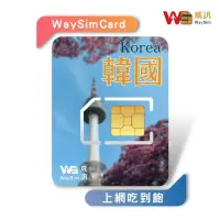 在飛比找momo購物網優惠-【威訊WaySim】韓國 4G高速 吃到飽網卡 8天(旅遊網