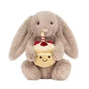 Birthday Cake Bunny Plush Toy, Shy Bunny Soft Stuffed Toy, Birthday Gift for Kids and Adults