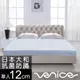 Venice 日本防蹣抗菌12cm記憶床墊-單人3尺