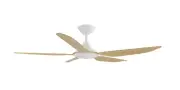 Calibo Storm 52" Indoor/Outdoor 5 Blade ABS DC Ceiling Fan With Remote