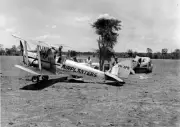 De Havilland Tiger Moth Seed plane loading Kiddell Plains, QLD c1962 6x4" Photo