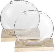 BAZEITFLOW 2 Sets European Style Hydroponic Glass Vases with Base Elegant Indoor Holders for Home Decor for Office Balcony and More