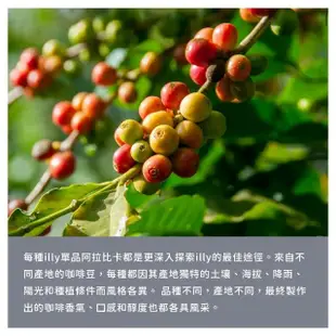 【illy】義大利經典咖啡豆/咖啡粉x3罐任選(250g/罐;中焙/深焙/低咖啡因/Espresso/摩卡壺專用)