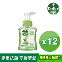 在飛比找Yahoo奇摩購物中心優惠-Dettol 滴露 滋潤蘆薈泡沫潔手液洗手乳(250ml*1