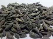HARITAKI BLACK chebulic myrobalan Terminalia chebula kali choti harad 250gm
