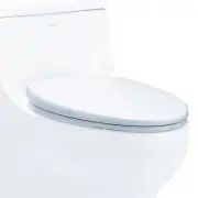 EAGO R-358SEAT Replacement Soft Closing Toilet Seat for TB358
