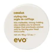 evo Cassius Styling Clay 90g