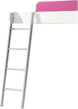 Silver Bunk Bed Ladder Home School Dormitory Bunk Bed Ladder with 2 Hooks Kids Adult Metal Step Climbing Ladder, Load Capacity 150kg/330lbs (Size : 1.65m/65 Inch)